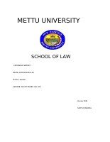 metu extern report (1).docx